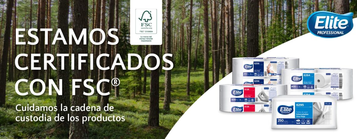 Blog - manejo forestal responsable