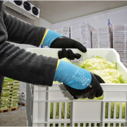 Guante para Frigorificos